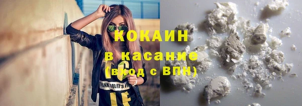 дживик Карпинск
