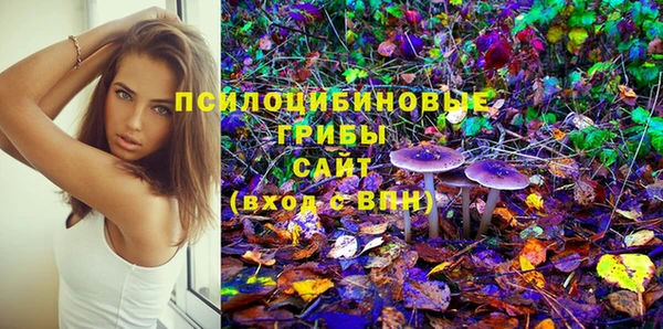 дживик Карпинск